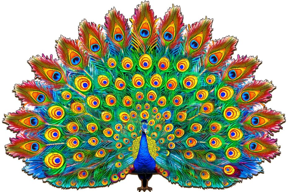 Holzpuzzle – Schöner Pfau 66e2ee88ec85c