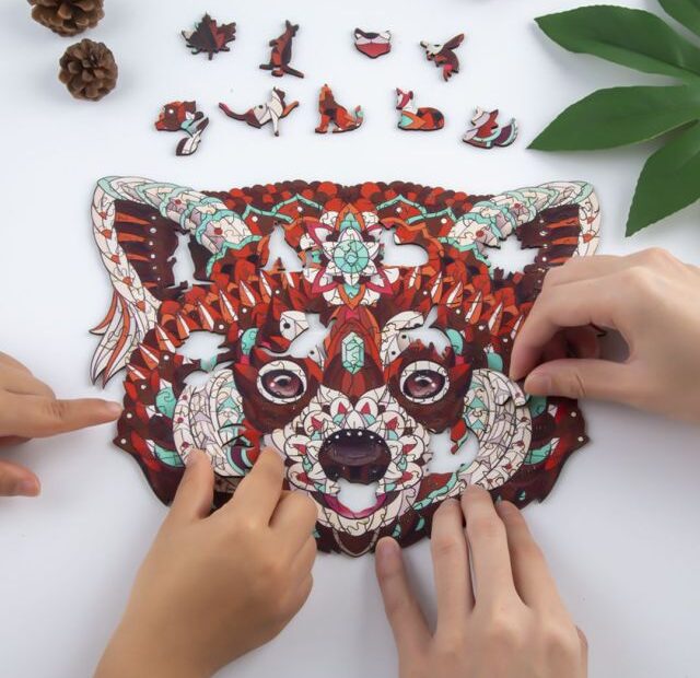 Spaß mit Waschbär-Puzzles 66e3eb6fde570